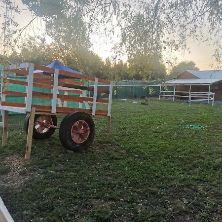 Cabana El Quillay Daire Linares Dış mekan fotoğraf